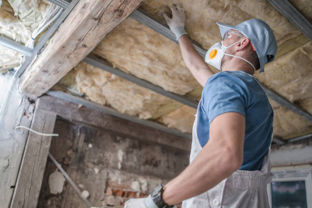 Best Spray Foam Insulation  in Blakely, GA